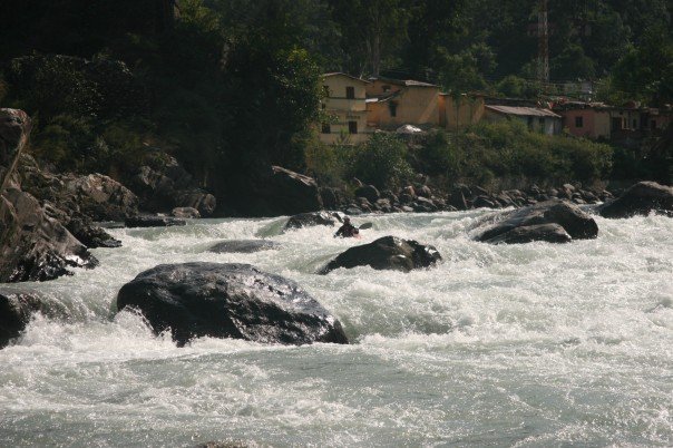 [n507461501_364037_5843[1].jpg]